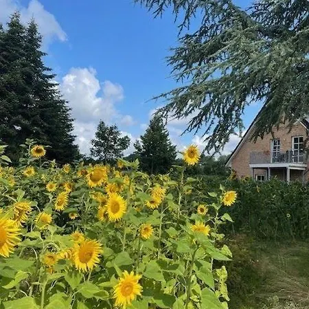 Arnis-eg-nr-1 Holiday home Haby